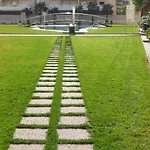 Elegance 2-serviden *